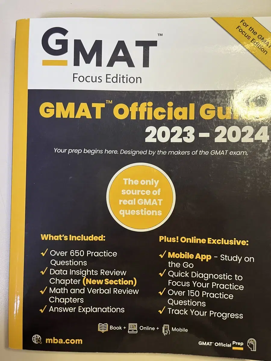 Gnat focus OG 2023-2024